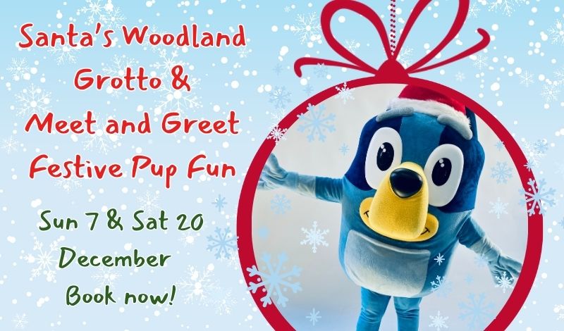 Meet and Greet Festive Pup Fun - Sun 7 Dec article image